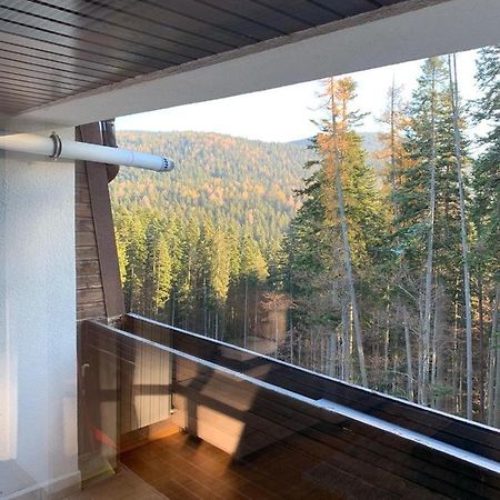 Cioplea View Daire Predeal Dış mekan fotoğraf
