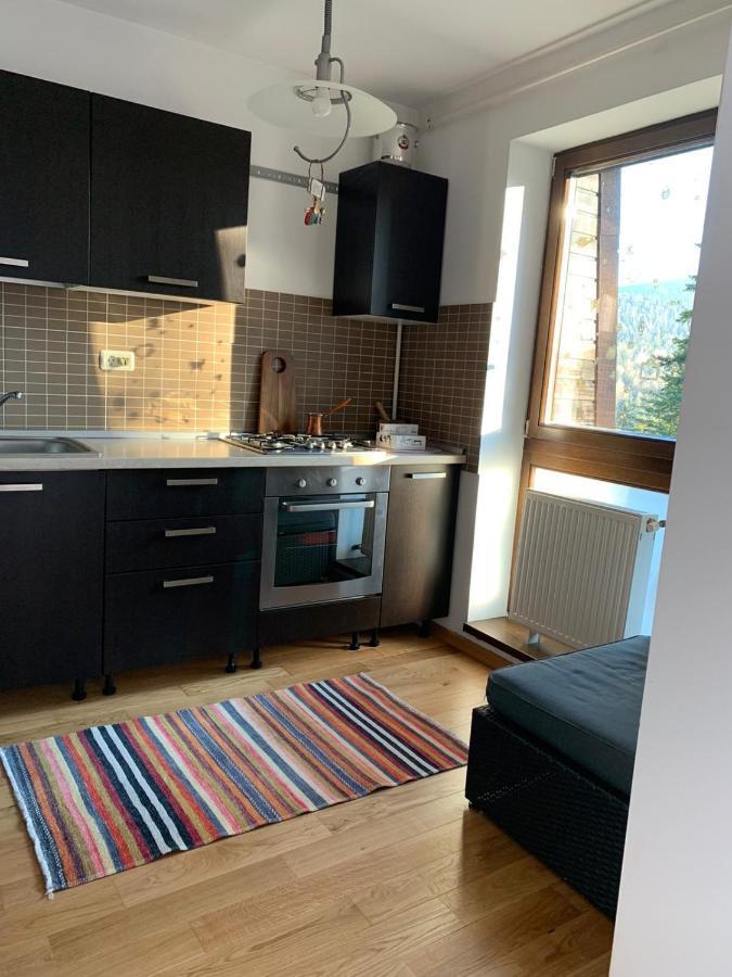 Cioplea View Daire Predeal Dış mekan fotoğraf