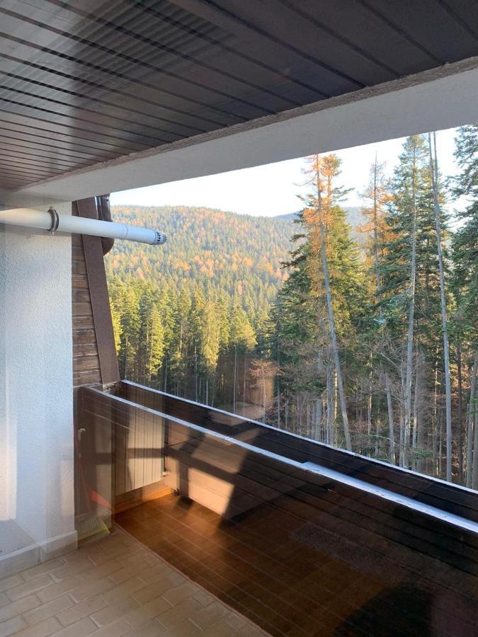 Cioplea View Daire Predeal Dış mekan fotoğraf